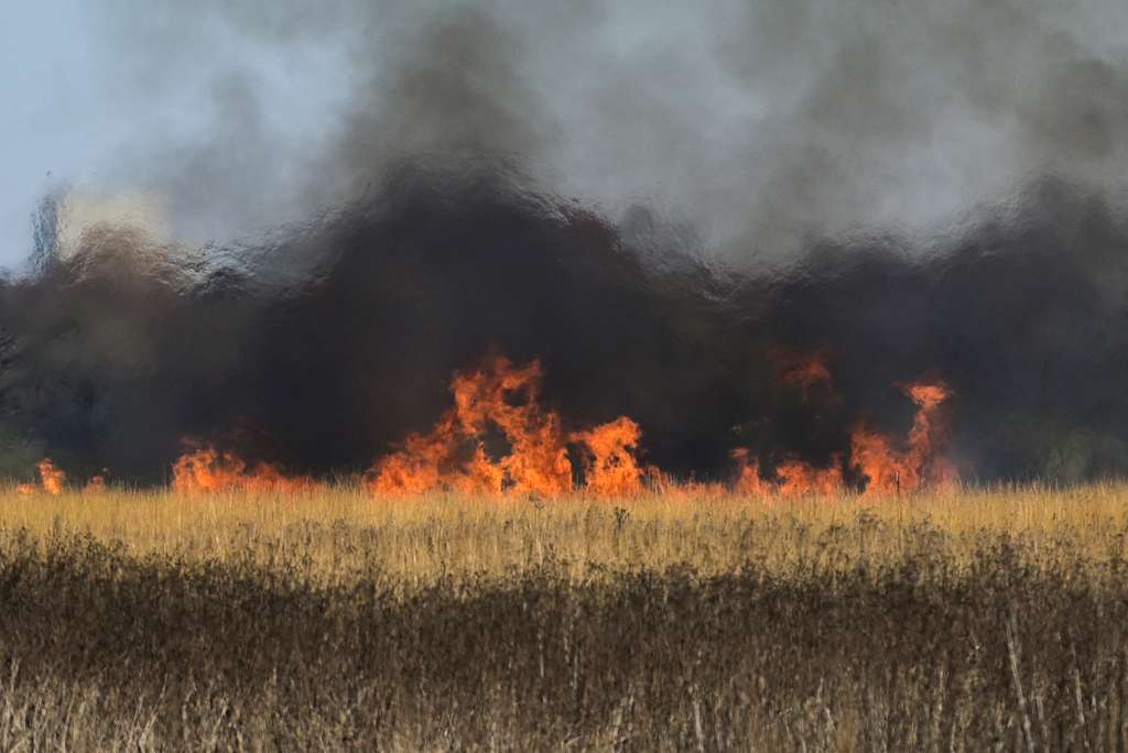 A prescribed burn of Huffman Prairie at Wright-Patterson Air Force Base, Ohio in 2020 [(src)](https://www.dvidshub.net/image/6422287/annual-prescribed-burn-historic-huffman-prairie).